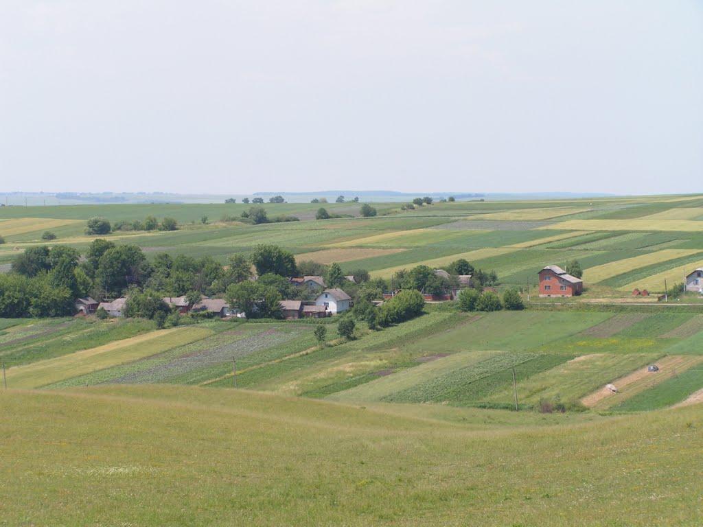 Гончарів з panoramio.com - Гончарів