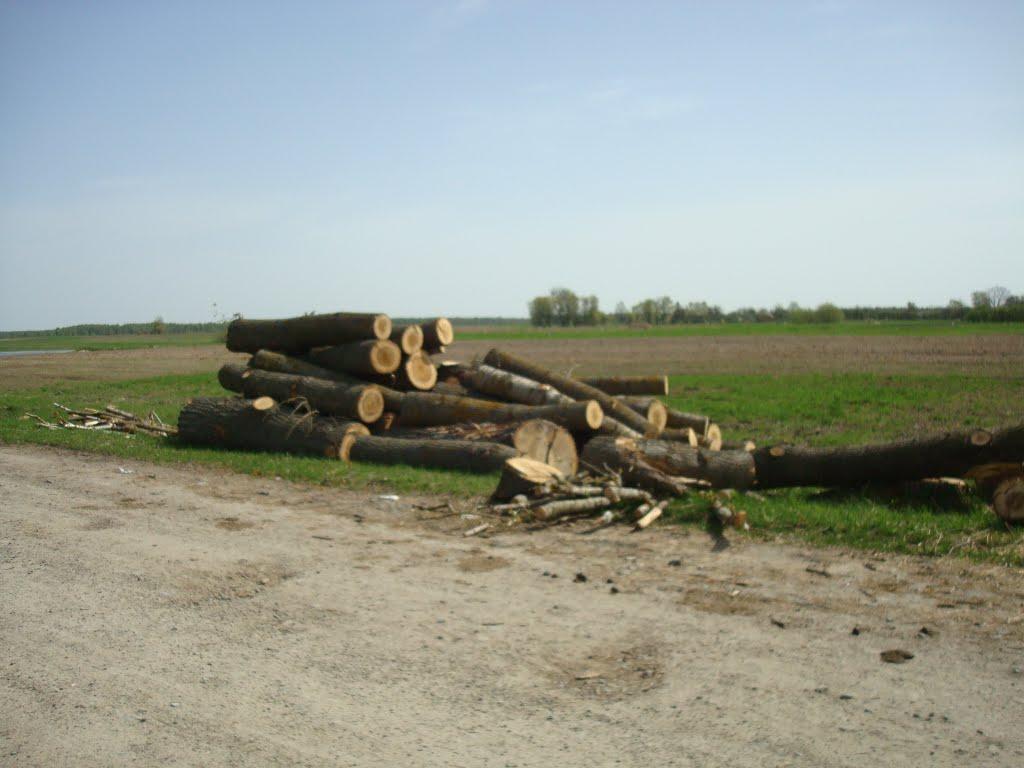 Дроздні з panoramio.com - Дроздни