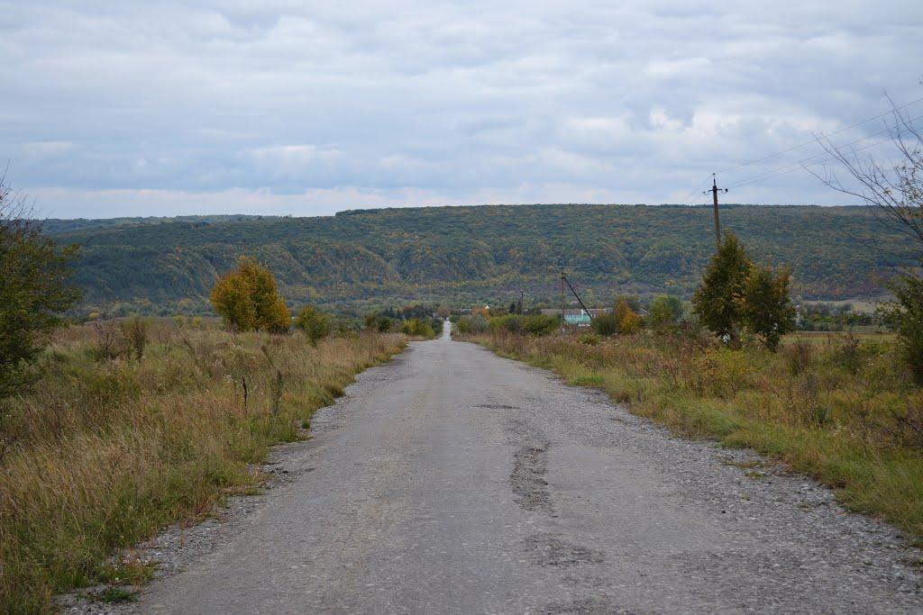 Мілівці з panoramio.com - Мілівці