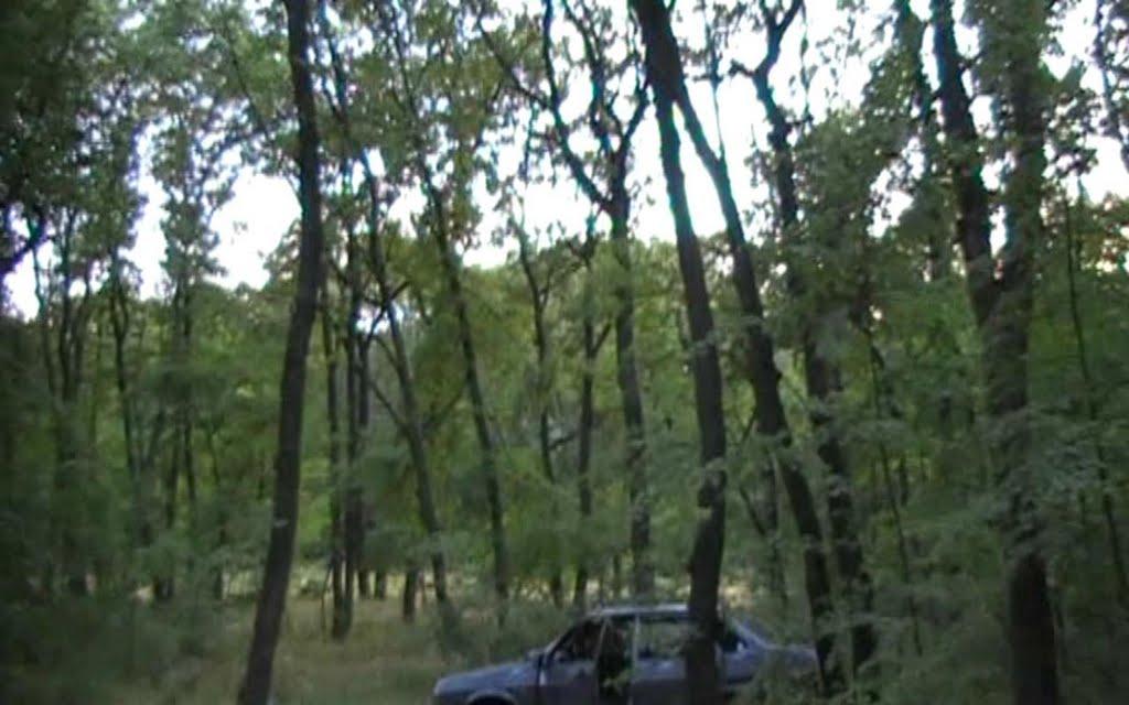 Сніжне з panoramio.com - Снежное