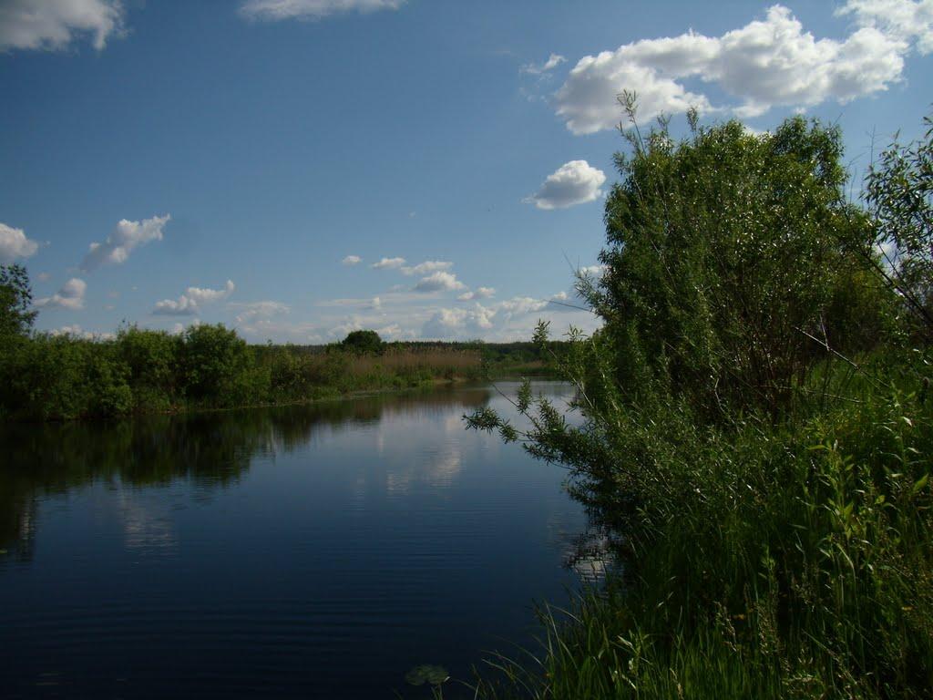 Литовка з panoramio.com - Литовка