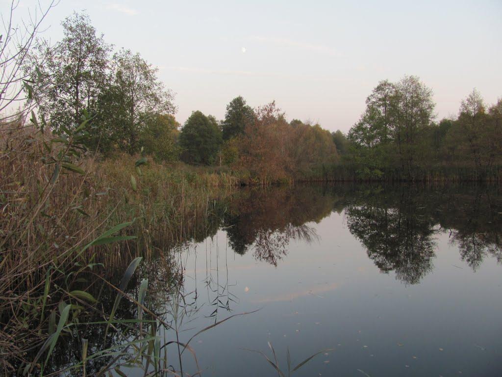 Горошківка з panoramio.com - Горошковка