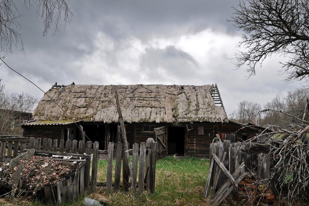 Карпилівка з panoramio.com - Карпиловка