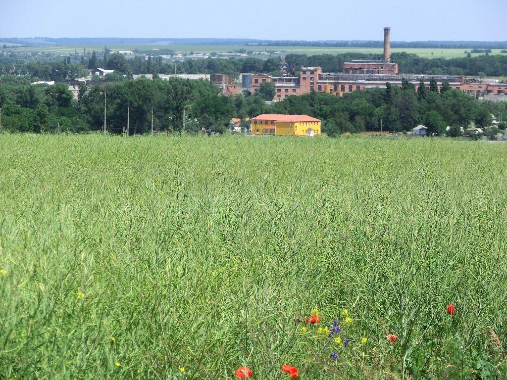 Войнівка з panoramio.com - Войновка