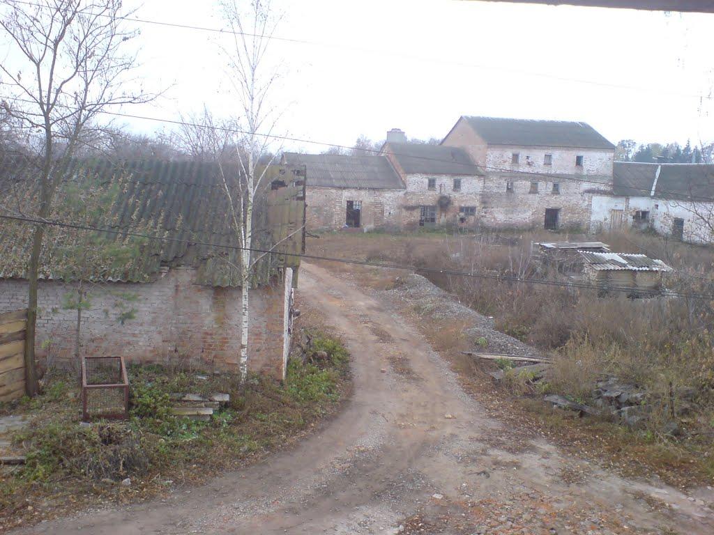 Нова Басань з panoramio.com - Новая Басань