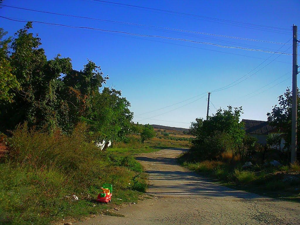Розсадне з panoramio.com - Rozsadne