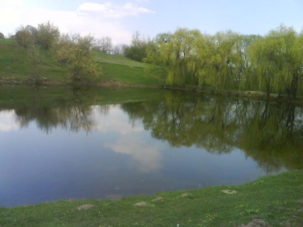 Тараща з panoramio.com - Тараща