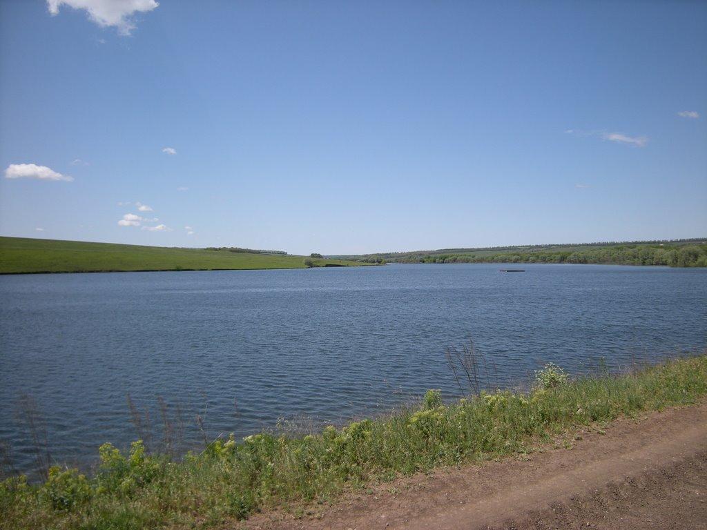 Комишуваха з panoramio.com - Комишуваха