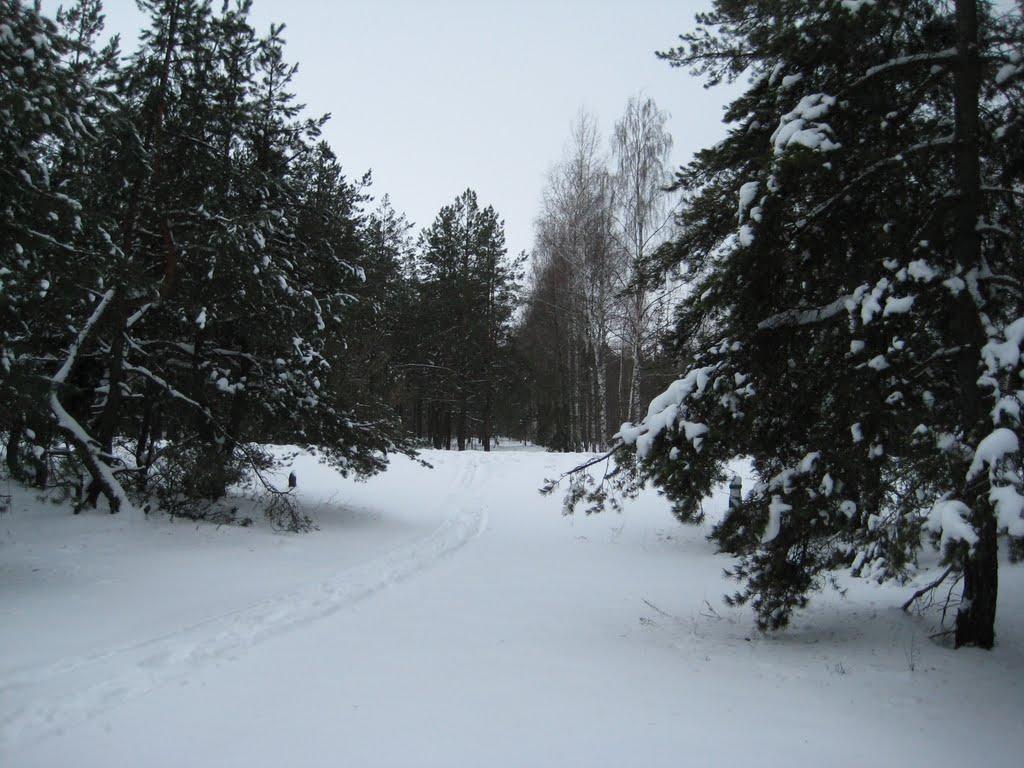 Гути з panoramio.com - Гути