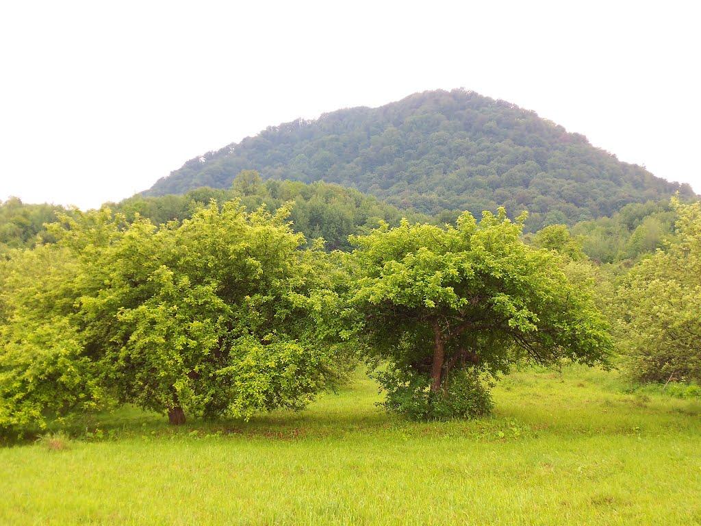 Буштино з panoramio.com - Буштыно