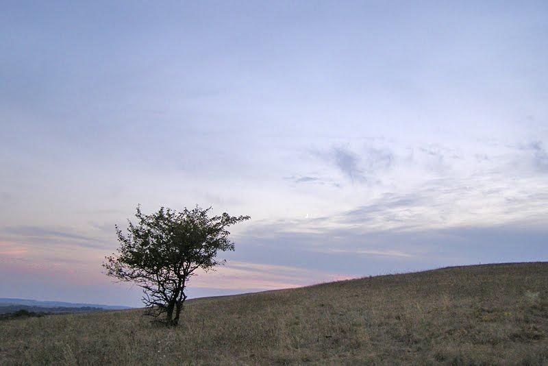 Малоіванівка з panoramio.com - Малоіванівка