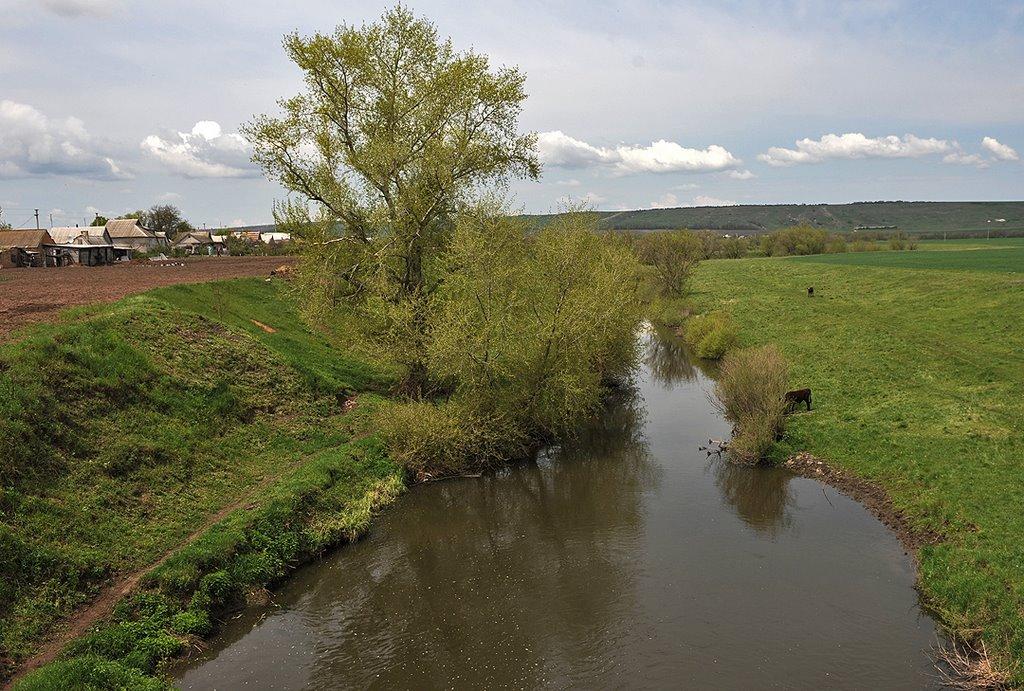 Переїзне з panoramio.com - Pereyizne