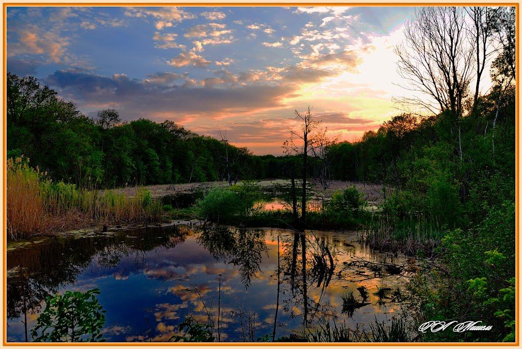 Білогорівка з panoramio.com - Білогорівка