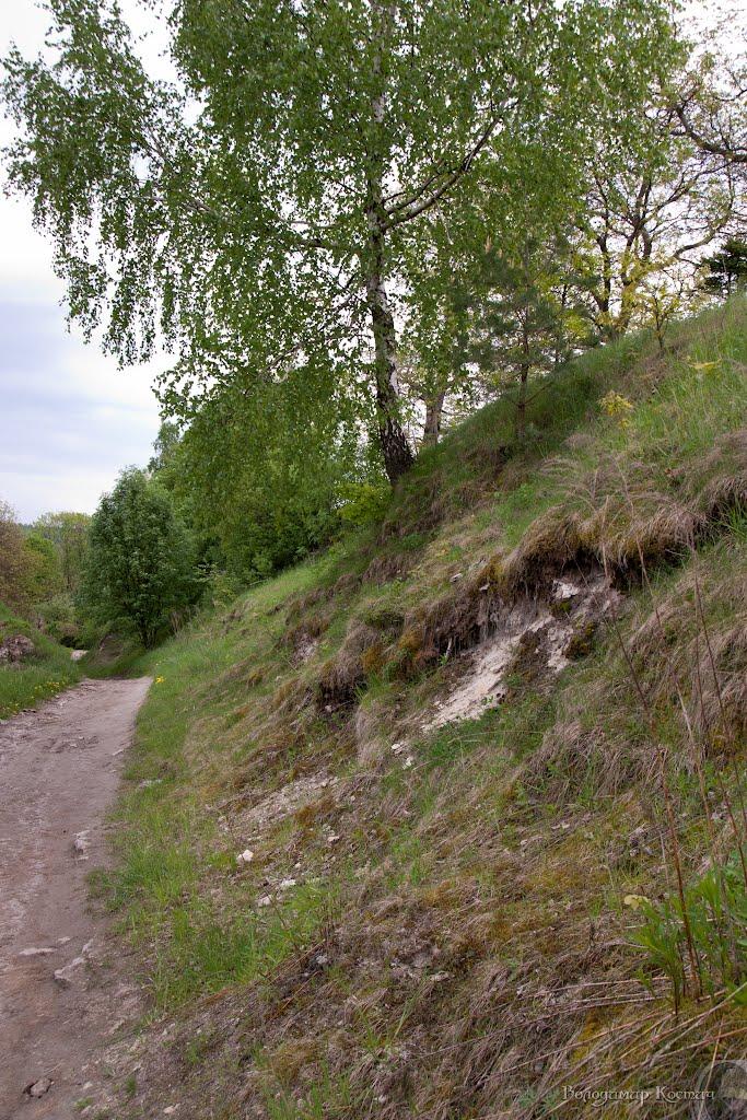 Башківці з panoramio.com - Башковцы