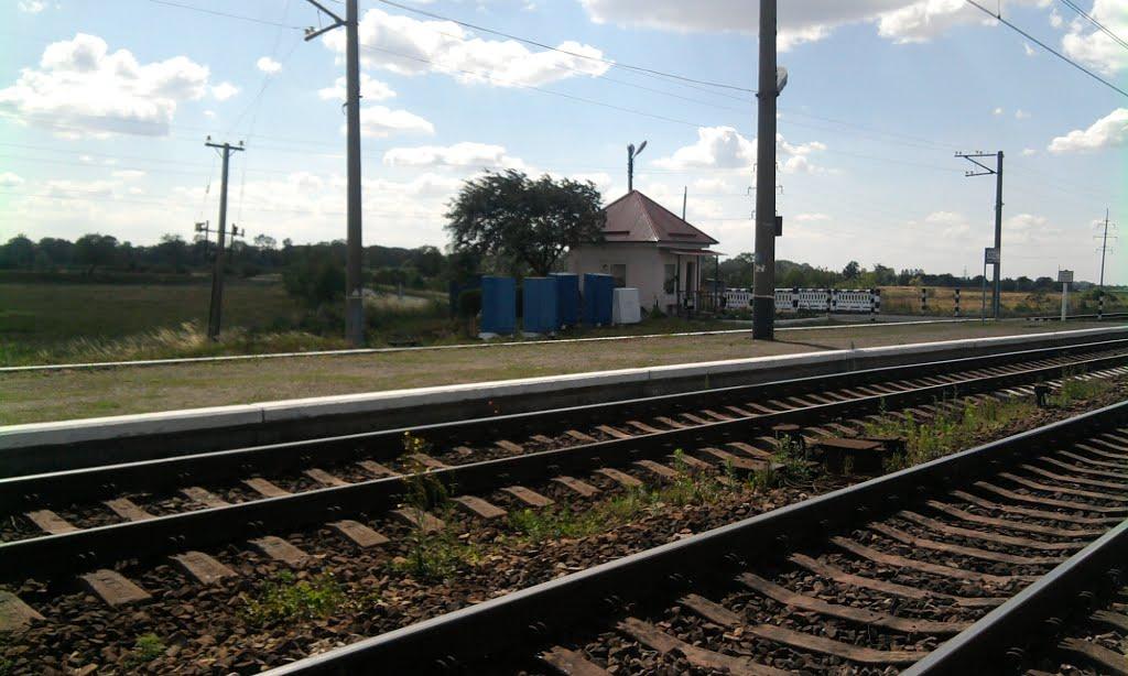 Червоне з panoramio.com - Червоное