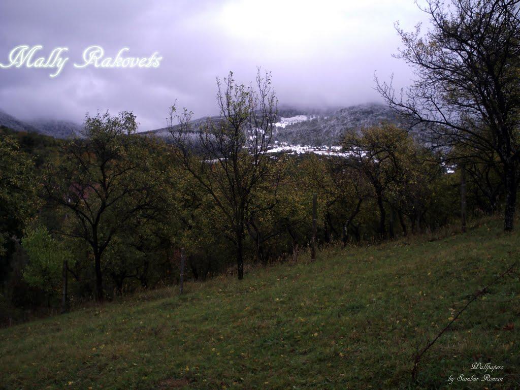 Мутичів з panoramio.com - Мутичів