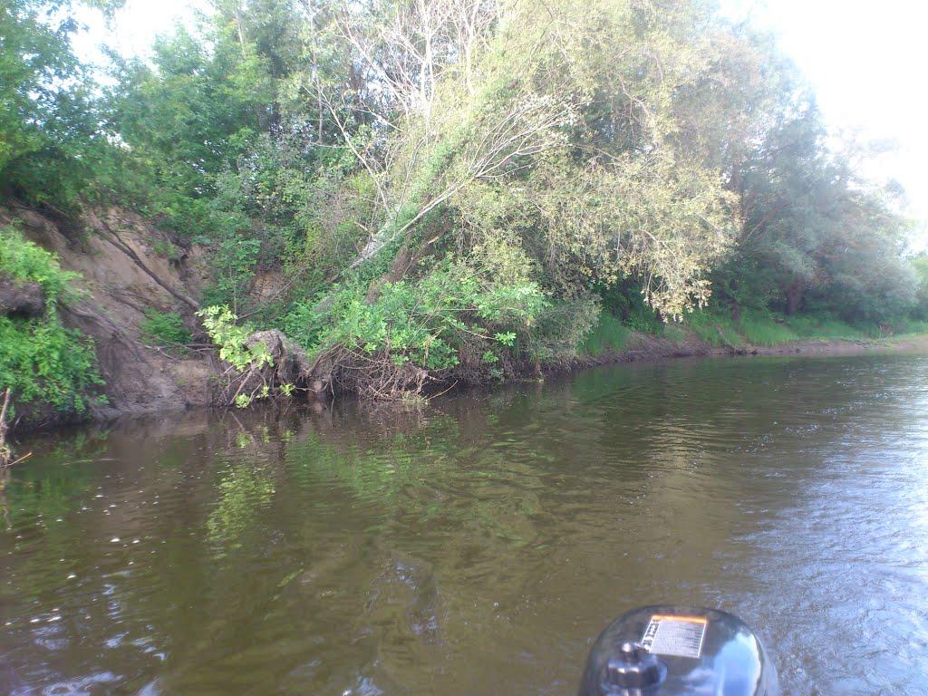 Клочків з panoramio.com - Klochkiv