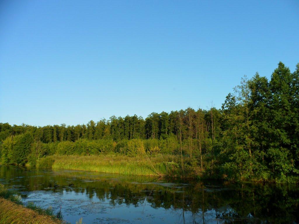 В'язенка з panoramio.com - Вязенка