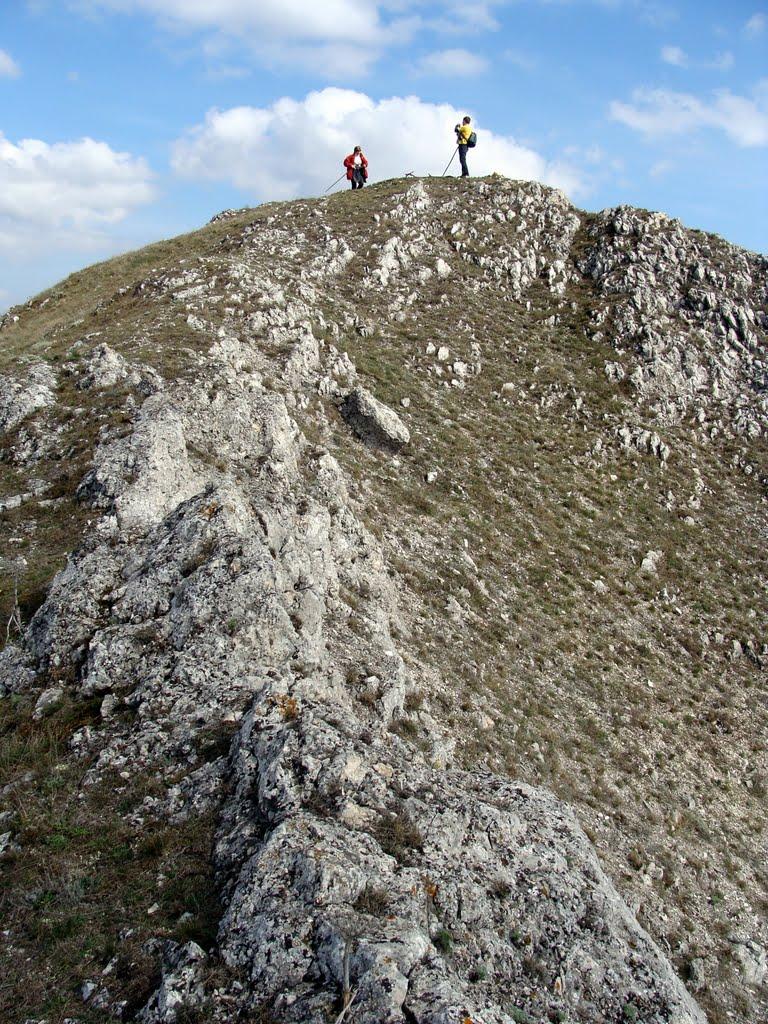 Красноселівка з panoramio.com - Красноселівка