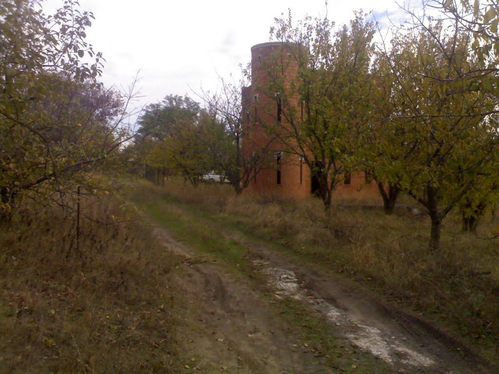 Червоний Садок з panoramio.com - Червоний Садок