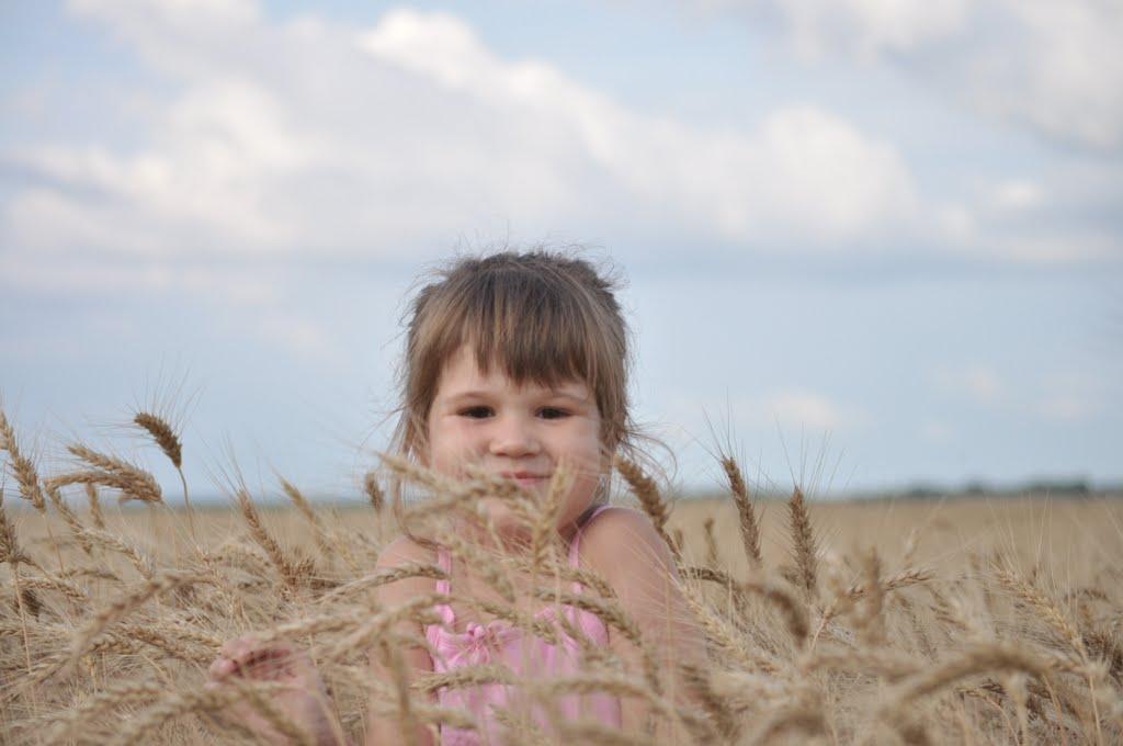 Червоний Садок з panoramio.com - Червоний Садок