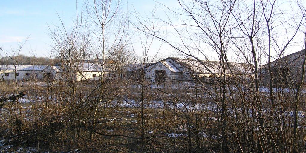 Злобичі з panoramio.com - Злобичі