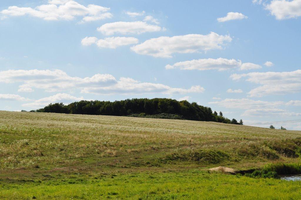 Матвіївці з panoramio.com - Матвеевцы