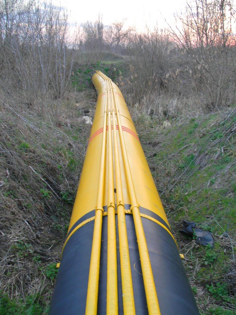 Несваткове з panoramio.com - Несваткове