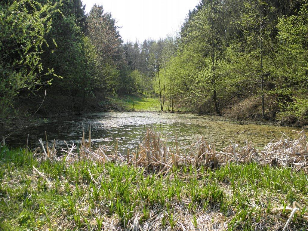 Комарно з panoramio.com - Комарно