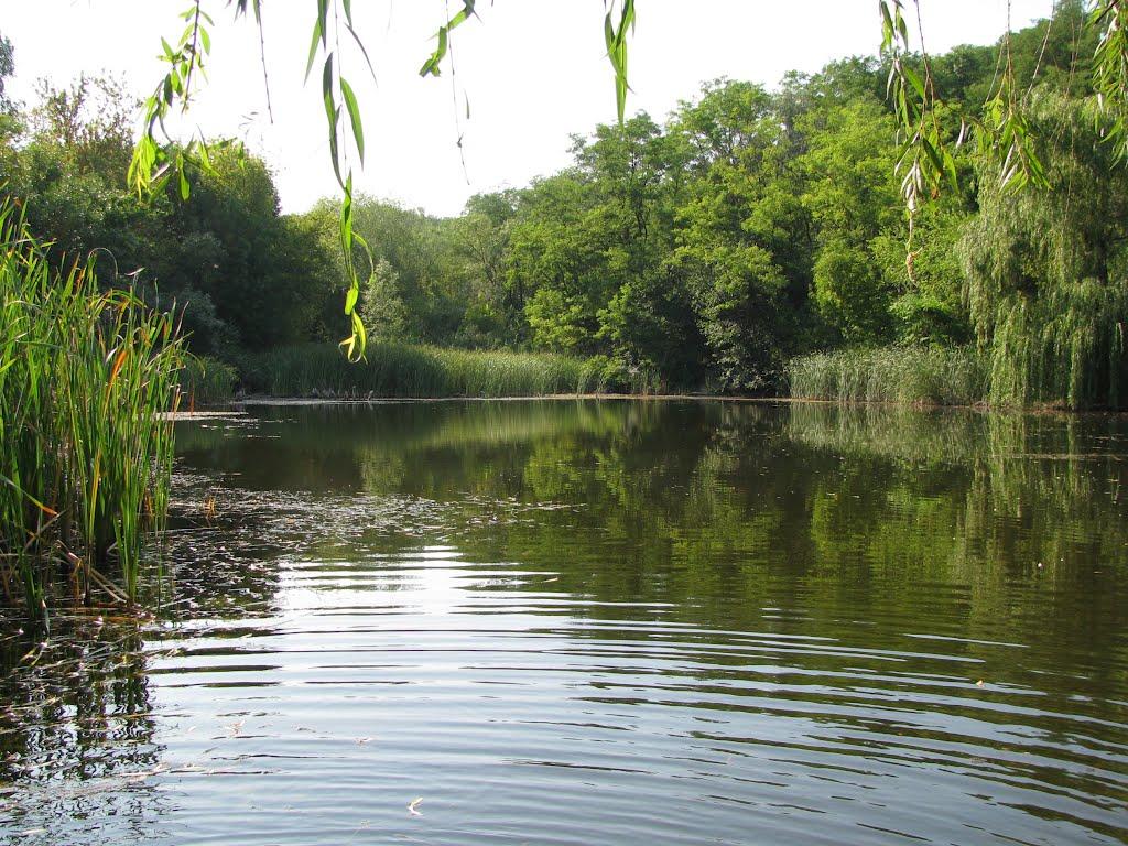 Зайцеве з panoramio.com - Зайцеве