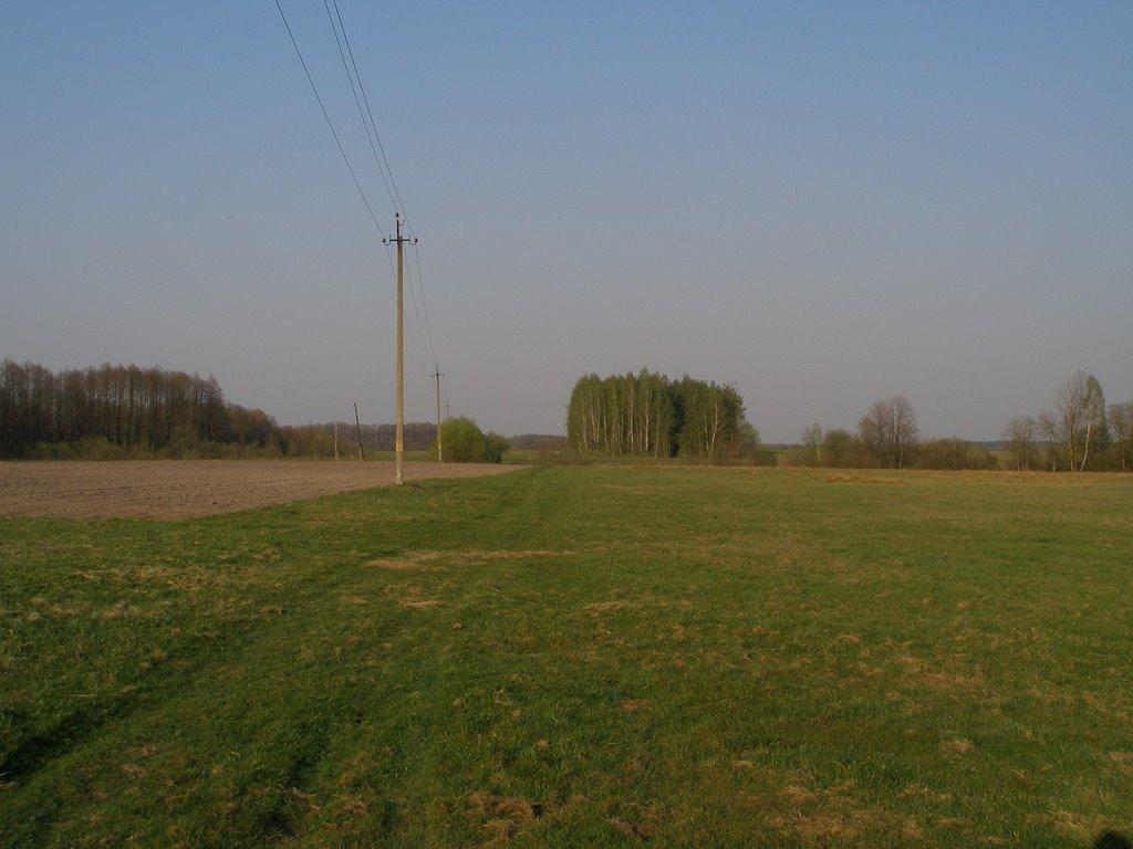 Марочкине з panoramio.com - Марочкине