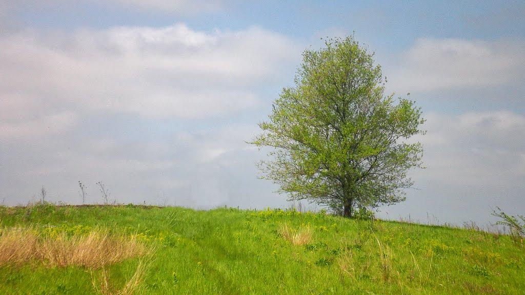 Зелена Левада з panoramio.com - Зелена Левада