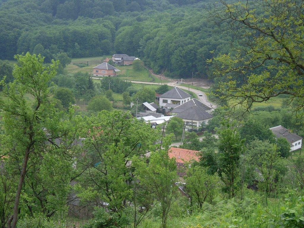 Сільце з panoramio.com - Сільце