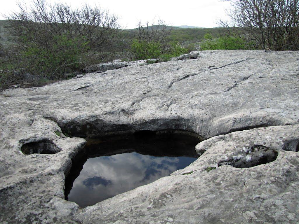 Пчолине з panoramio.com - Пчелиное