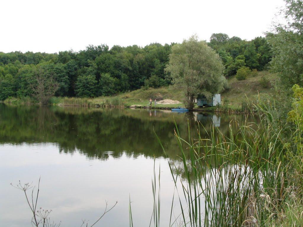 Кам'яногірка з panoramio.com - Каменногорка