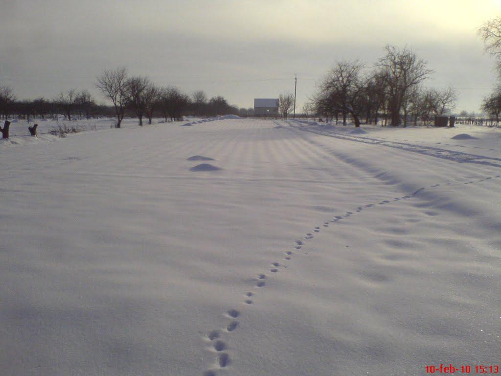 Велика Добронь з panoramio.com - Велика Добронь