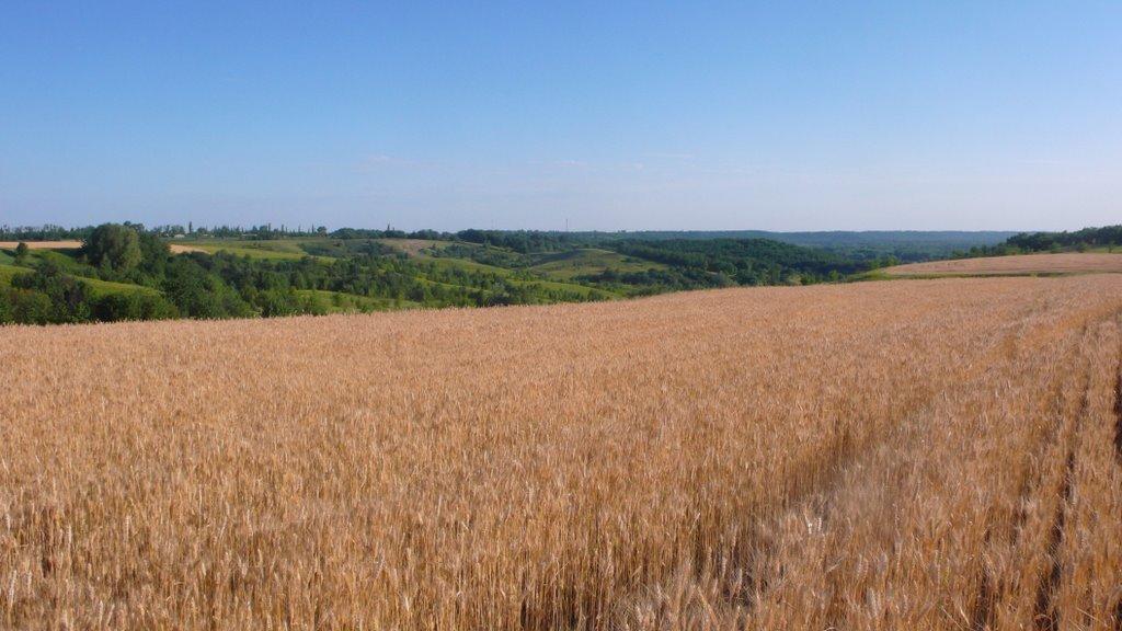 Шишаки з panoramio.com - Shishaki