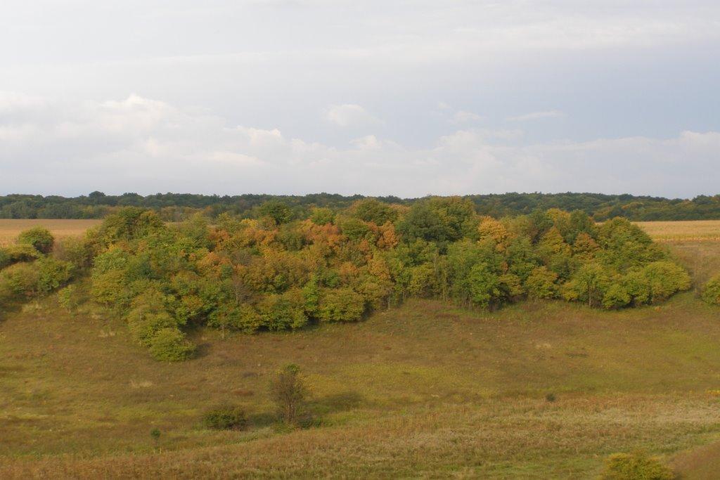 Новаки з panoramio.com - Новаки