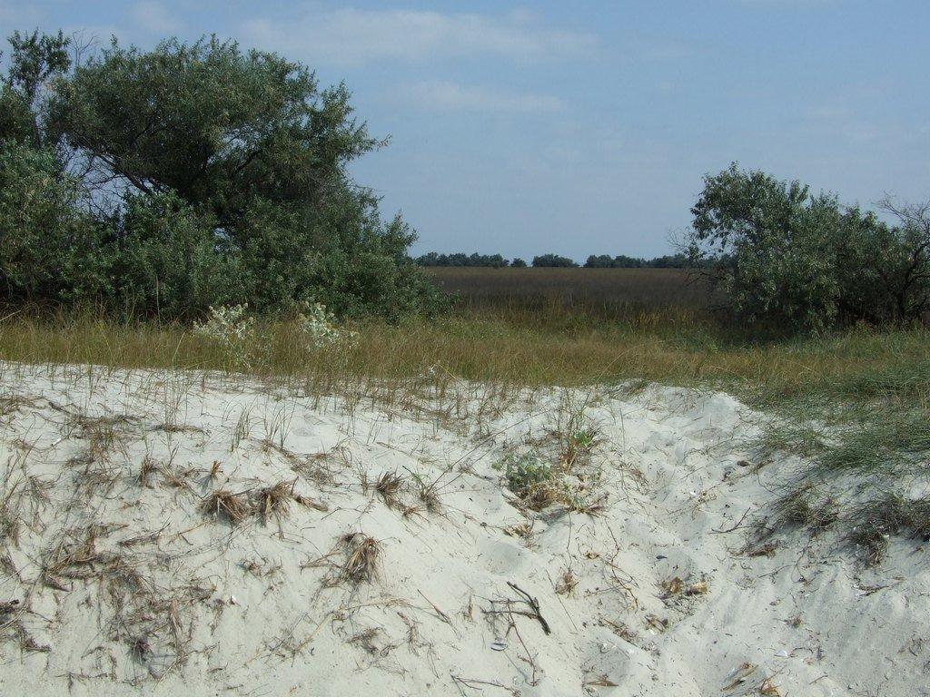 Очаків з panoramio.com - Очаков