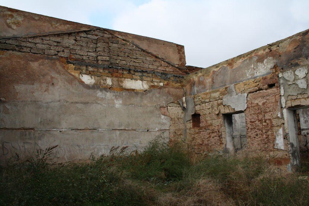 Дібрівське з panoramio.com - Дибровское