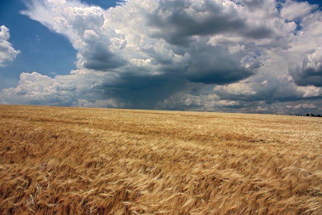 Братсько-Семенівка з panoramio.com - Братсько-Семенівка