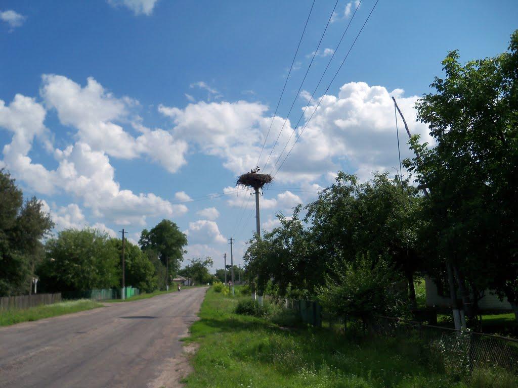 Могилів з panoramio.com - Могилев