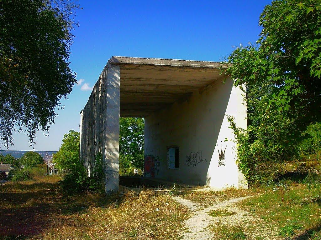 Красний Мак з panoramio.com - Красный Мак