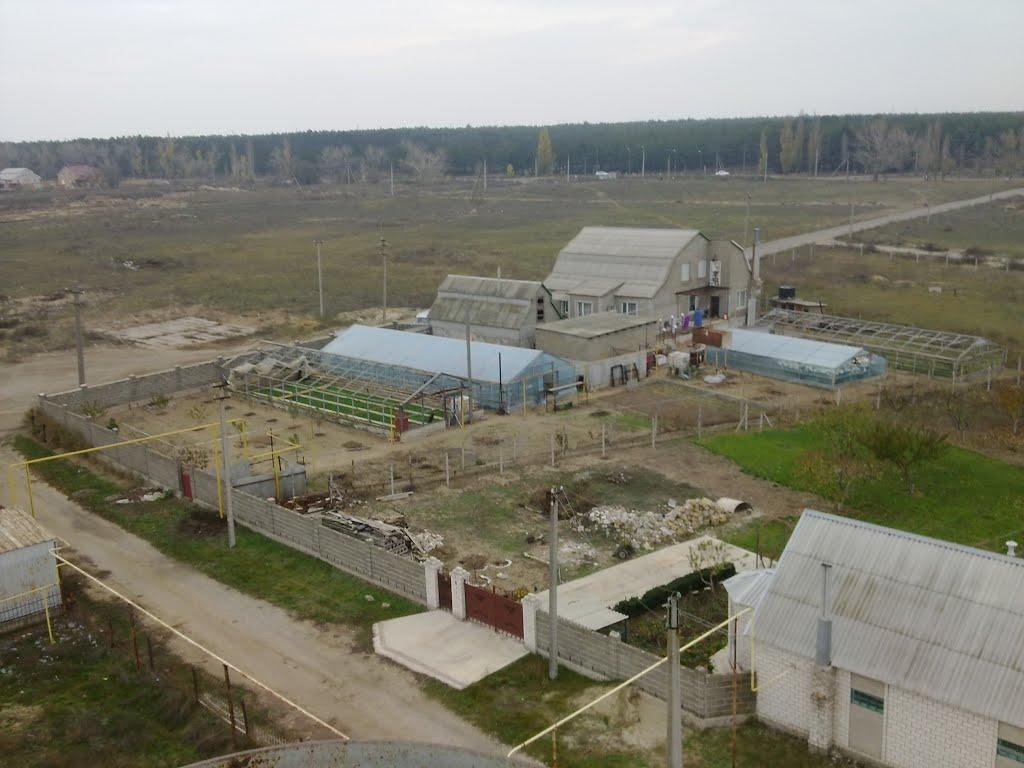 Галицинове з panoramio.com - Галициново