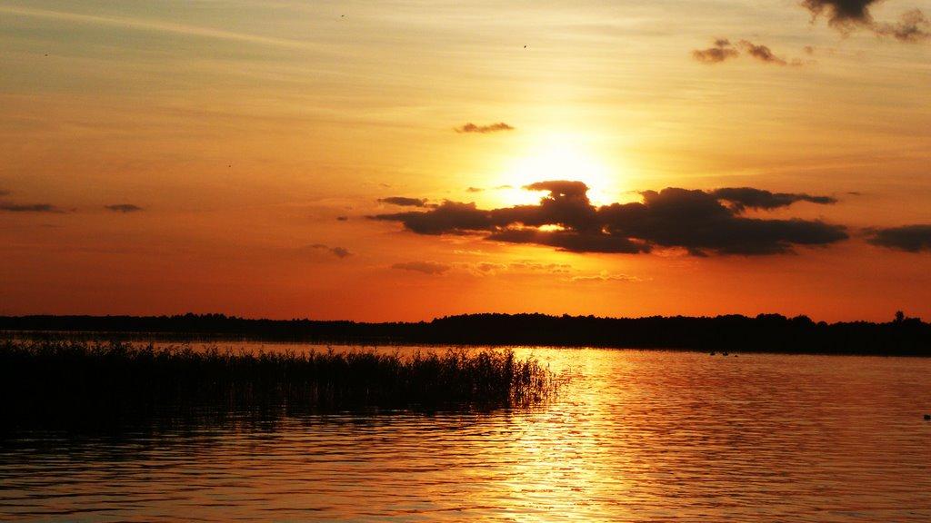 Шацьк з panoramio.com - Шацк