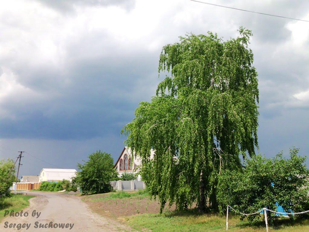 Жовтневе з panoramio.com - Жовтневое