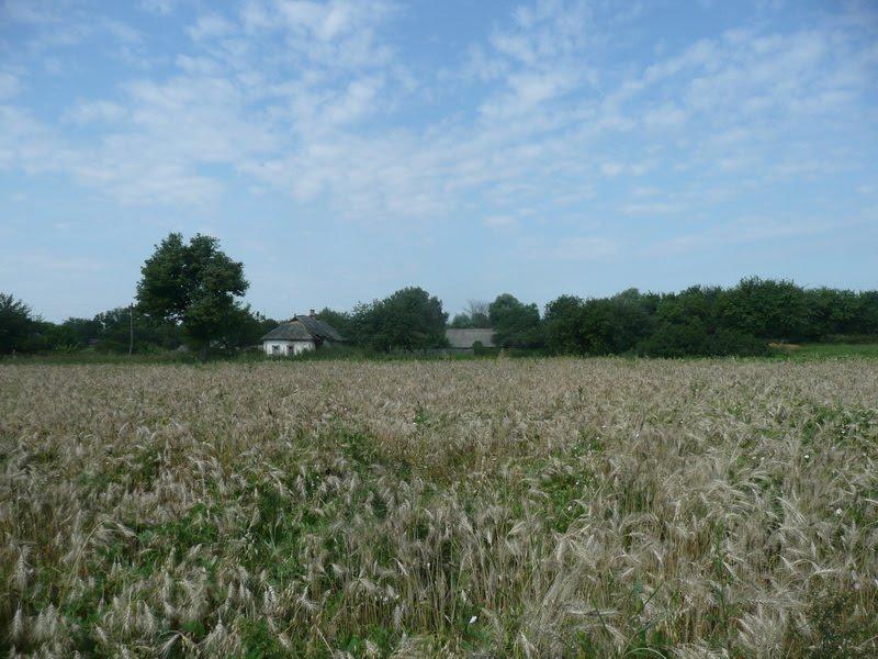 Кислі з panoramio.com - Кислі