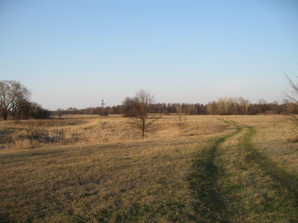 Плавні з panoramio.com - Плавни
