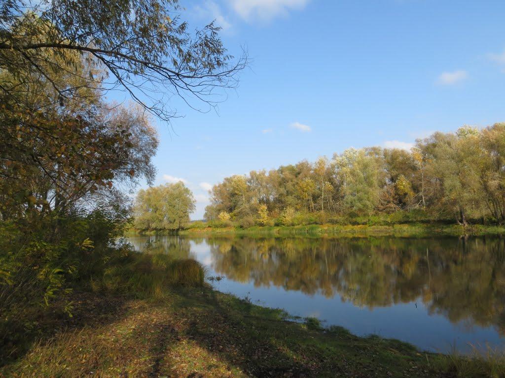 Новосілки з panoramio.com - Новоселки