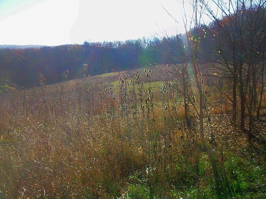 Верхоріччя з panoramio.com - Верхоречье